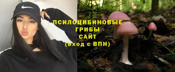 прущие грибы Алексеевка