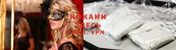твердый Алексин