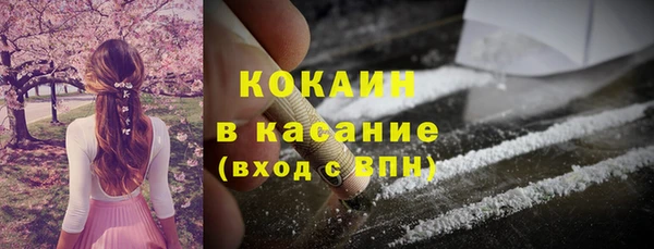 прущие грибы Алексеевка
